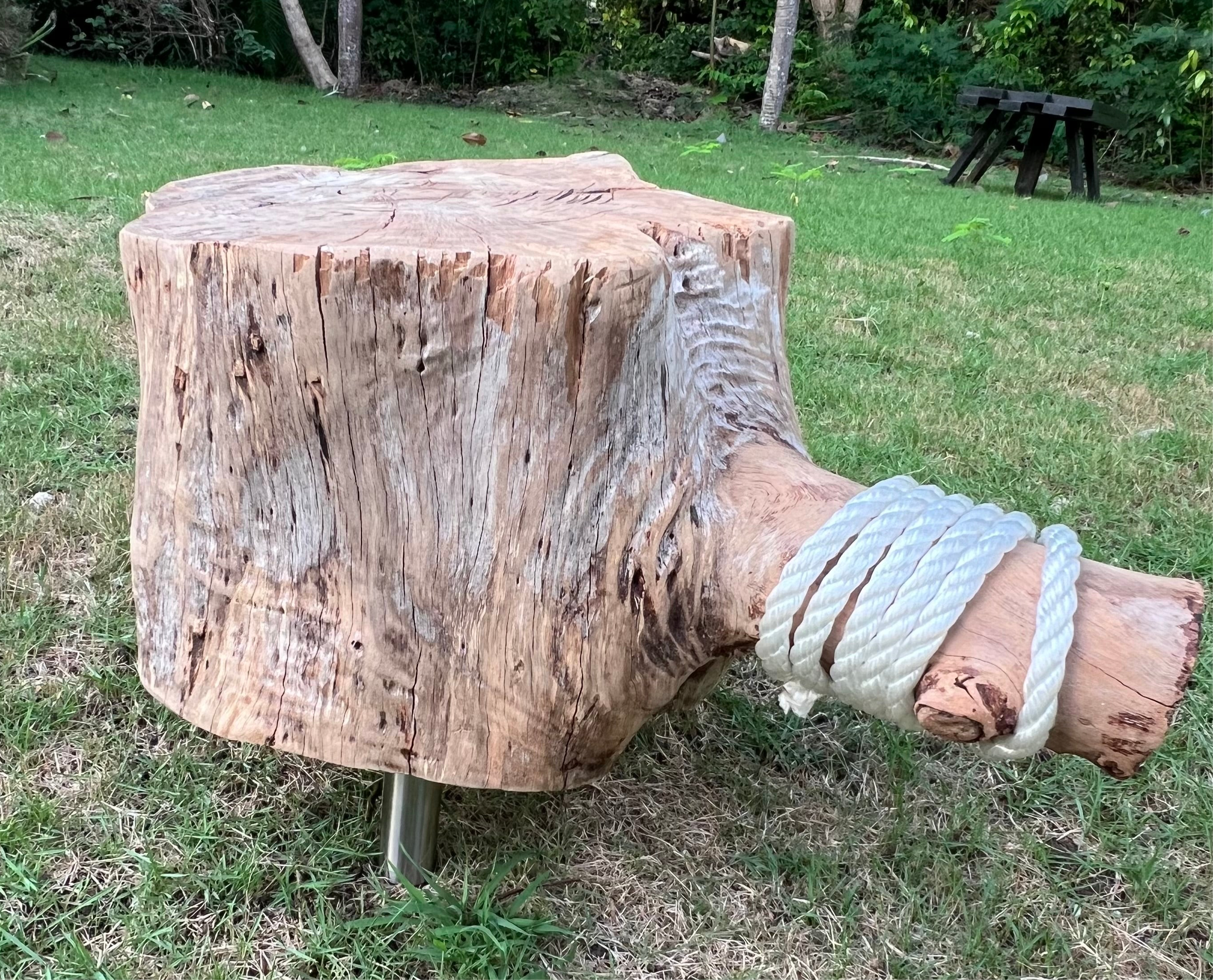 Handmade Casuarina Wood Side Table or Footstool