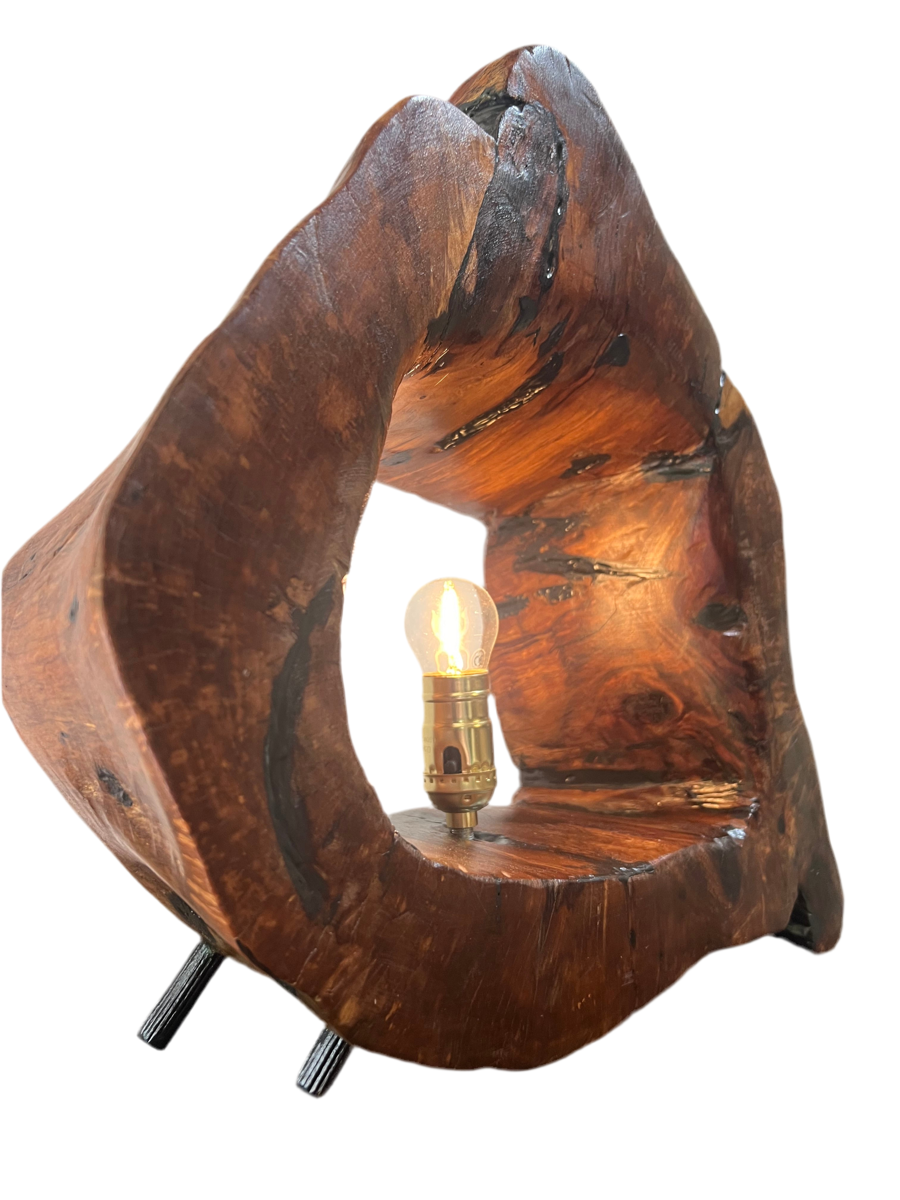 Handmade Casuarina and Epoxy Lamp