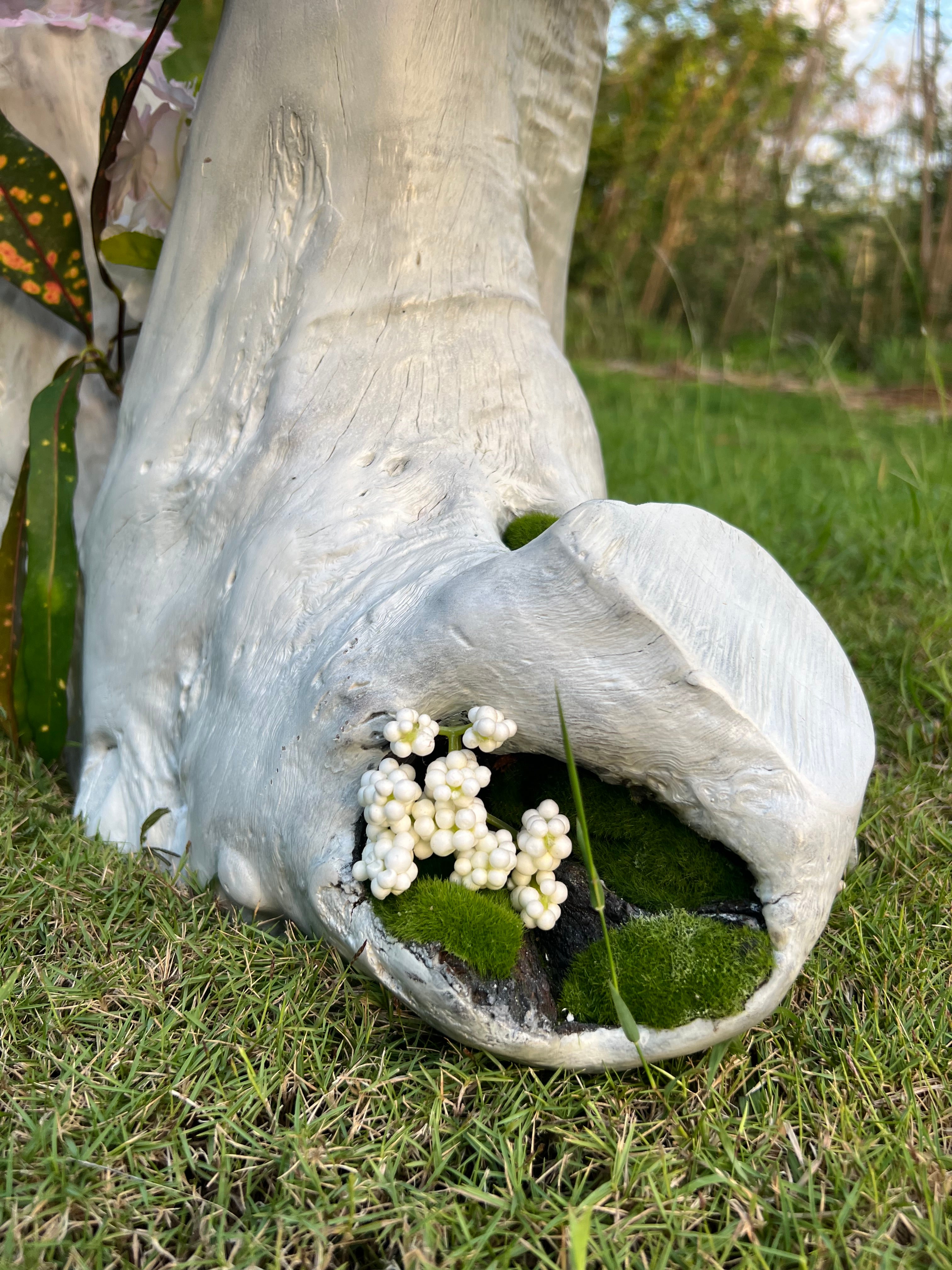 Handmade Casuarina Wood Coffee Table with Vase Feature