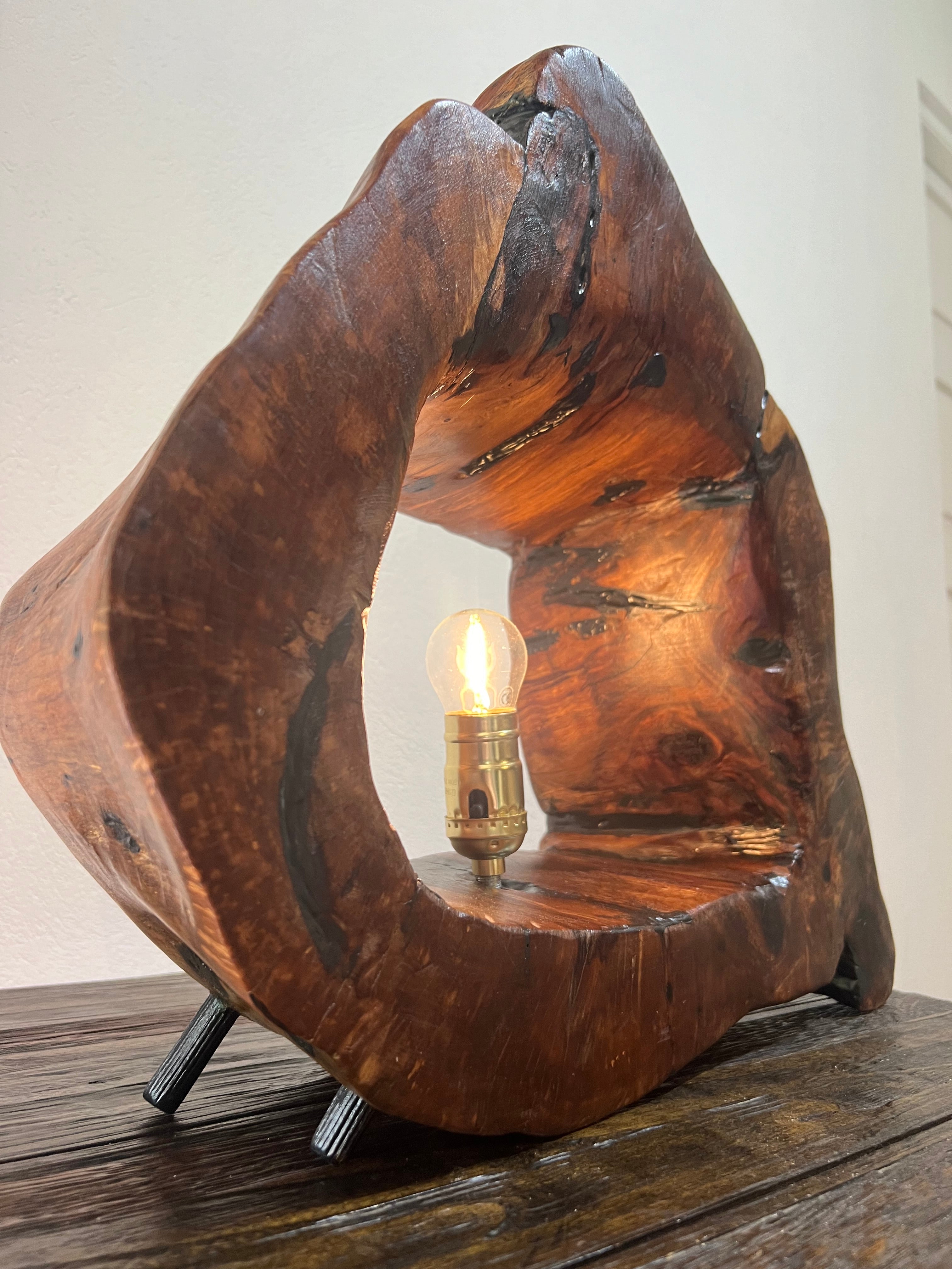 Handmade Casuarina and Epoxy Lamp