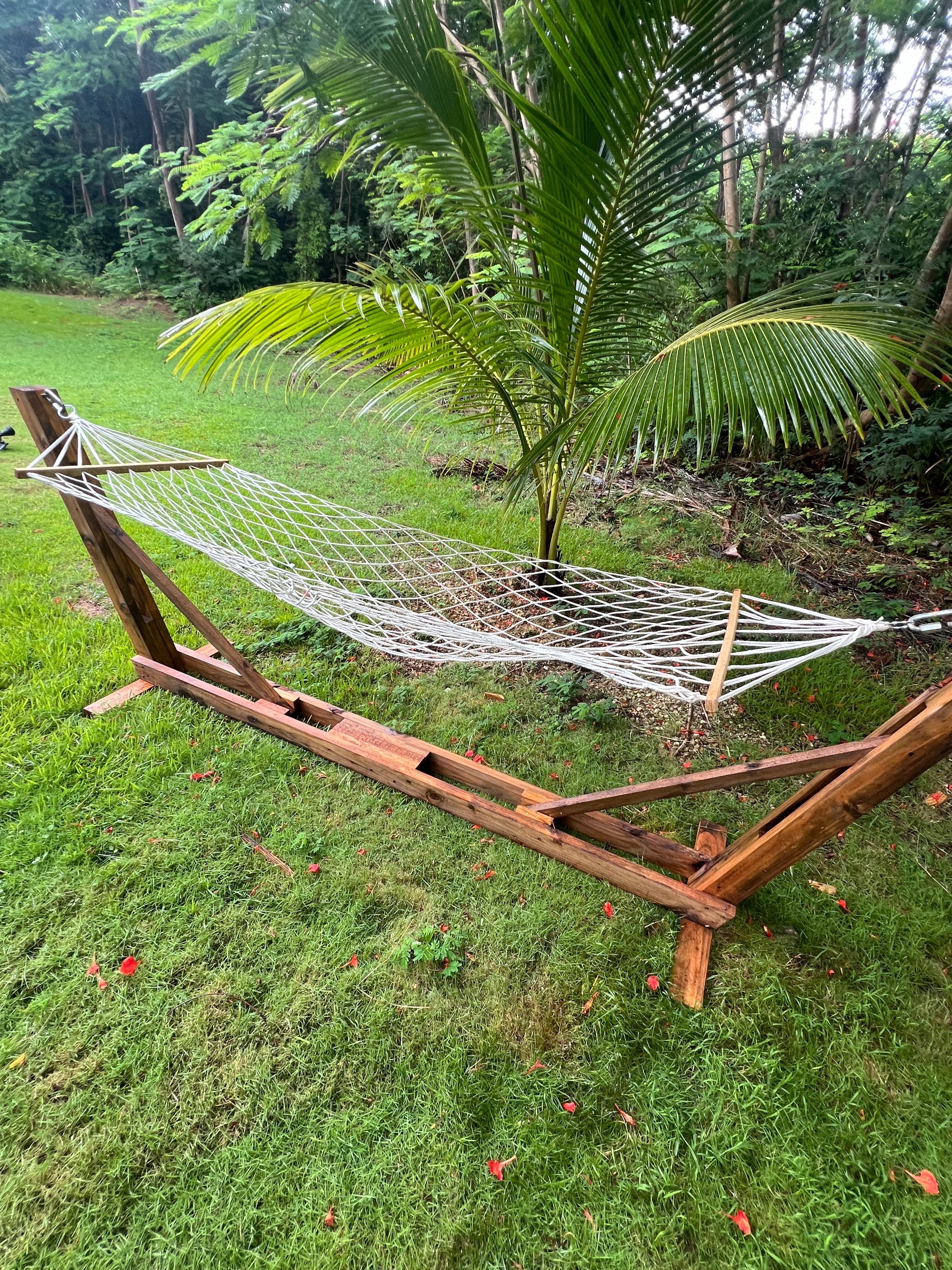 Hammock