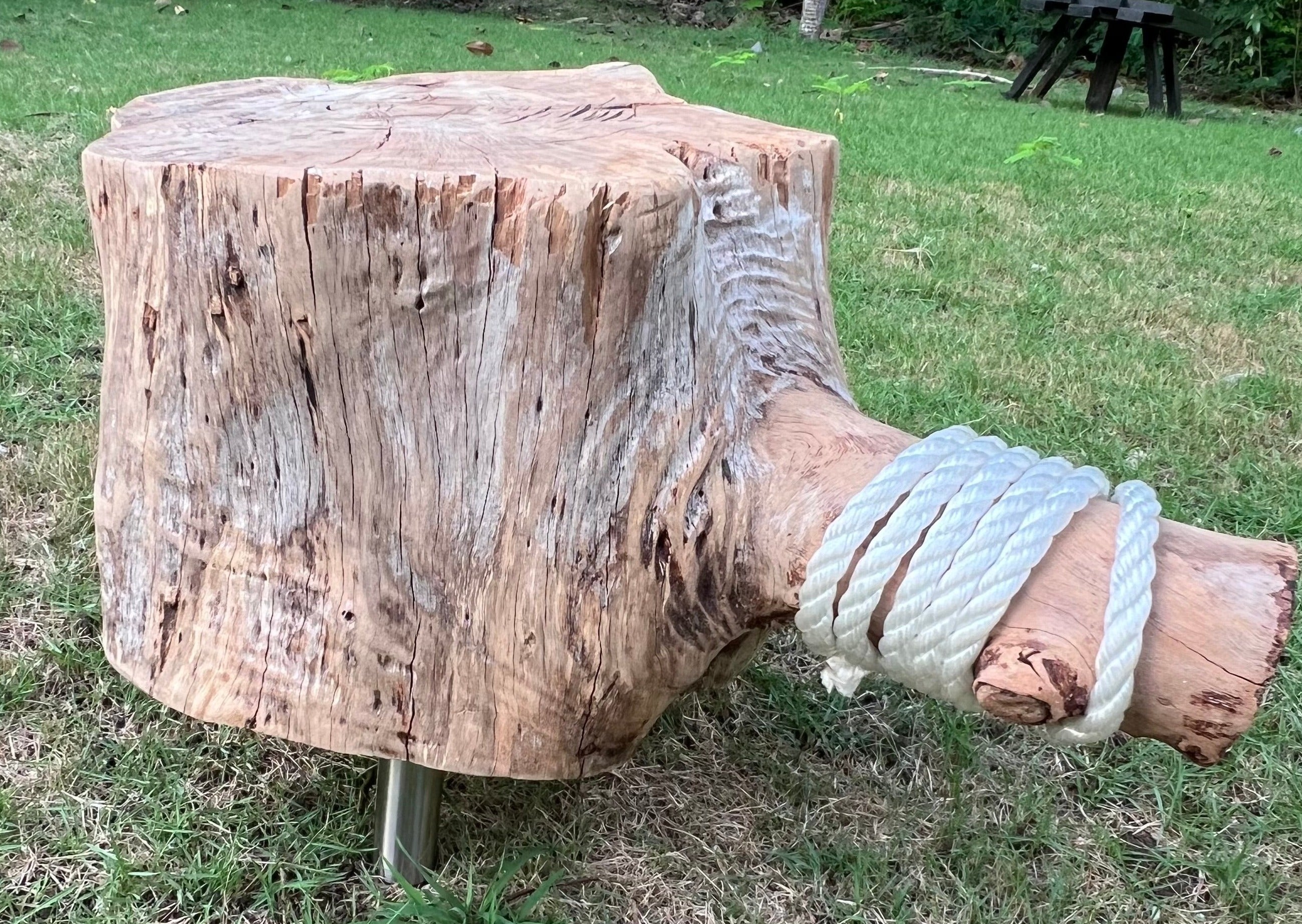 Handmade Casuarina Wood Side Table or Footstool