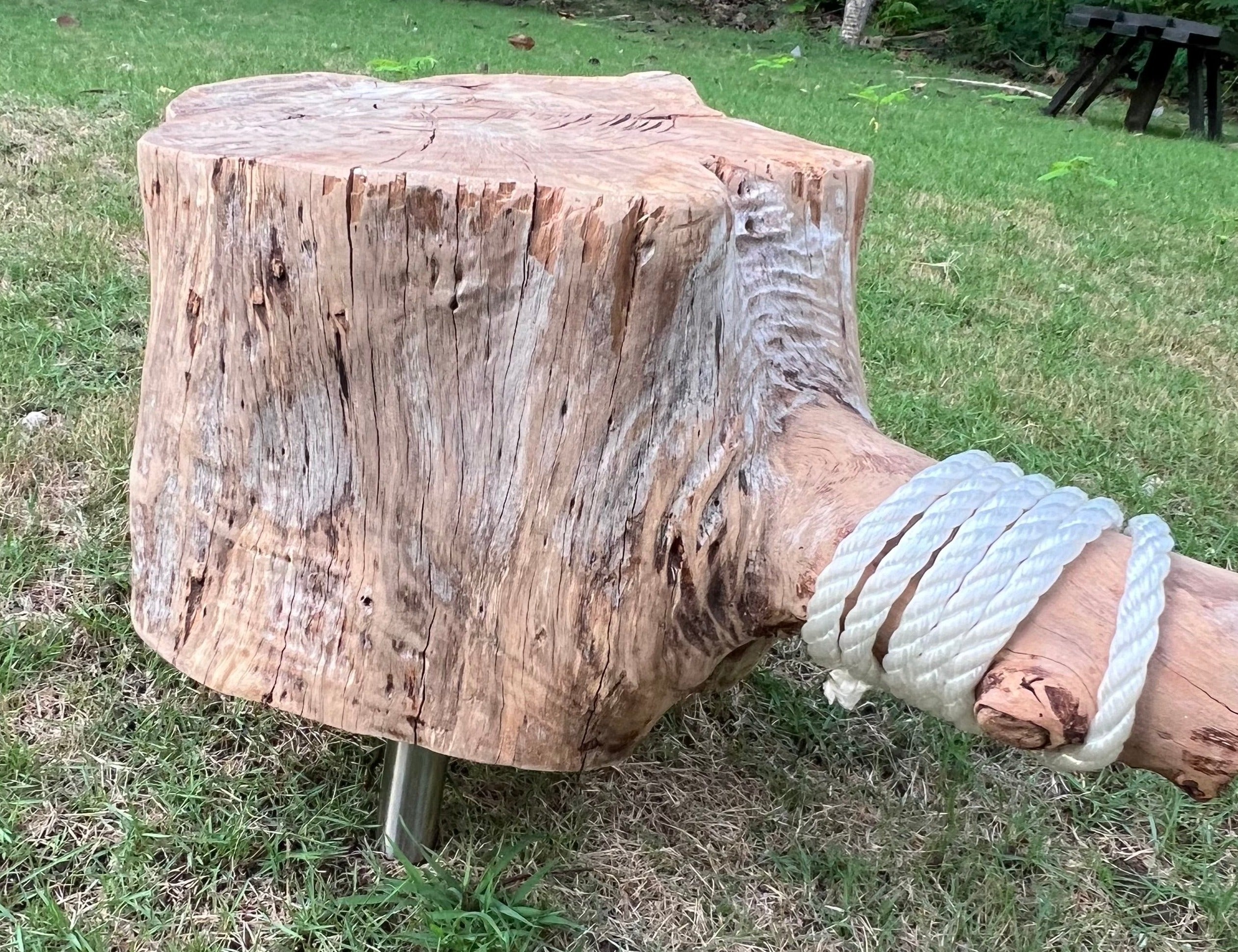 Handmade Casuarina Wood Side Table or Footstool